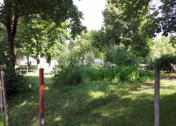 Schulteich