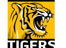 Plakat Walter Tigers