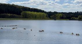 Kajaks