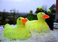 Enten aus Schnee
