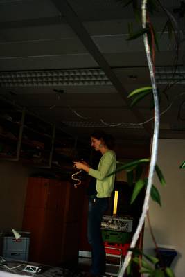 IMG_3618_1.jpg
