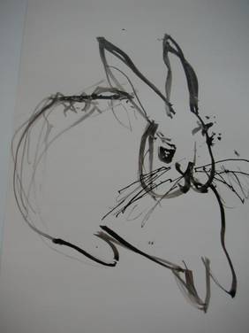 zeichnung hase
