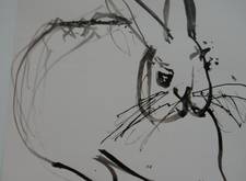 zeichnung hase