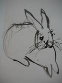 zeichnung hase