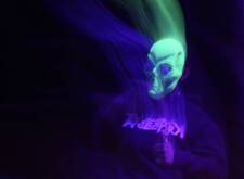 Maske Gruselnacht